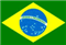 Brazil Logo